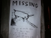 Missing Burrito Unicorn
